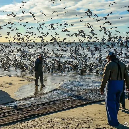 Dom Quixote Turisticos Lejlighed Praia de Mira