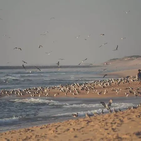 Dom Quixote Turísticos