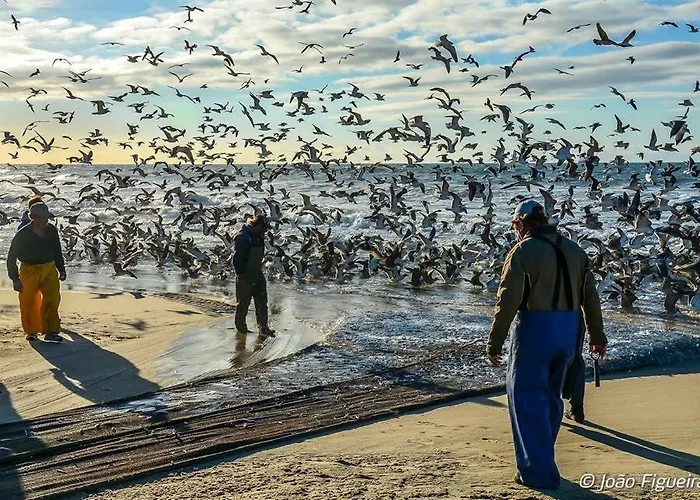 Dom Quixote Turisticos Апартаменты Прая-ди-Мира